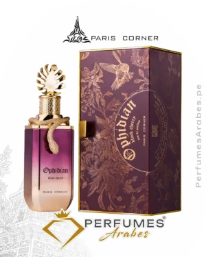 Paris Corner OPHIDIAN Black