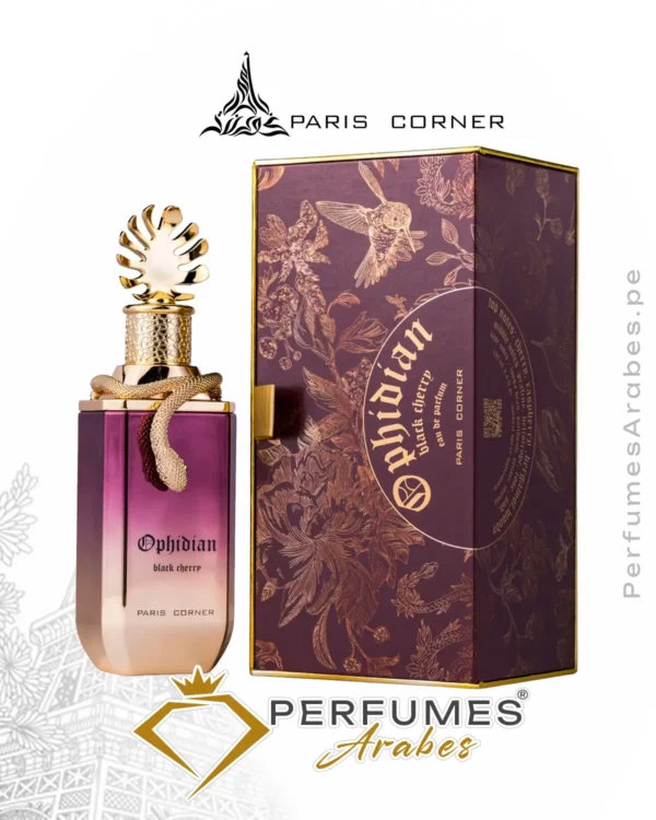 Paris Corner OPHIDIAN Black