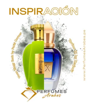 VOUX Zingy Emir Paris Corner